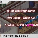 【SLG/官中/像素动态】海之家～NTR物语～/ウミノイエ～NTR物語～ Ver2.0 AI汉化版【560M】【微云网盘/直链】