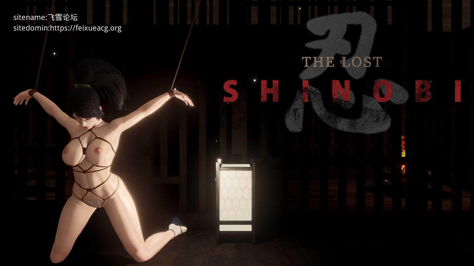 失落忍者/The Lost Shinobi PC端 官中高清版 预览图