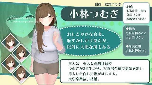 心爱的妻子在旅行中被NTR的波利尼西亚式情感互动故事 PC端 AI汉化版 预览图