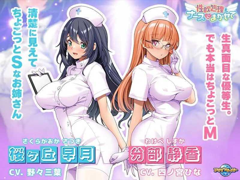 性欲处理也交给护士吧/性欲処理もナースにまかせて PC端 AI汉化版-第2张-游戏-甜瓜会