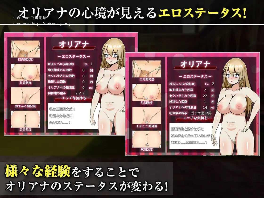 王国的勇骑士奥莉安娜/王国の勇騎士オリアナ PC端 AI汉化版-第3张-游戏-甜瓜会