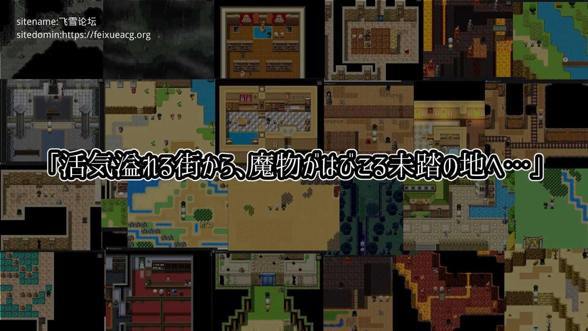 遥远的塞雷斯菲亚/遥かなるセレスフィア PC端 AI汉化版-第3张-游戏-皮皮府资源