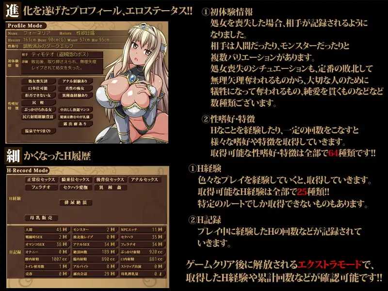 ONEONE1 黑暗精靈史記V1.02/ダークエルフのヒストリアV1.02 PC端 官中版 预览图