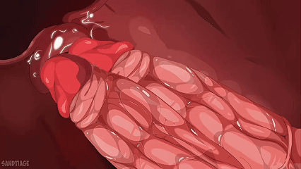 11月24日(7).gif