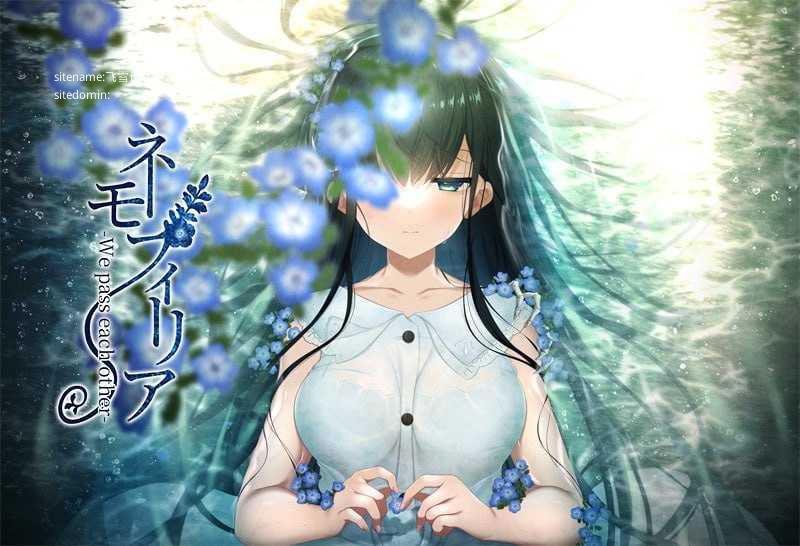 喜林草 -我们擦肩而过-/ネモフィリア -We pass each other PC端 AI汉化版