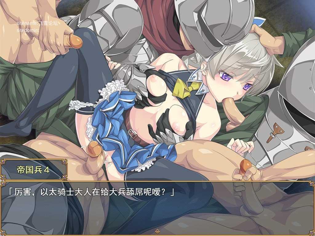 帝国骑士/Imperial knights PC端 官中版 预览图