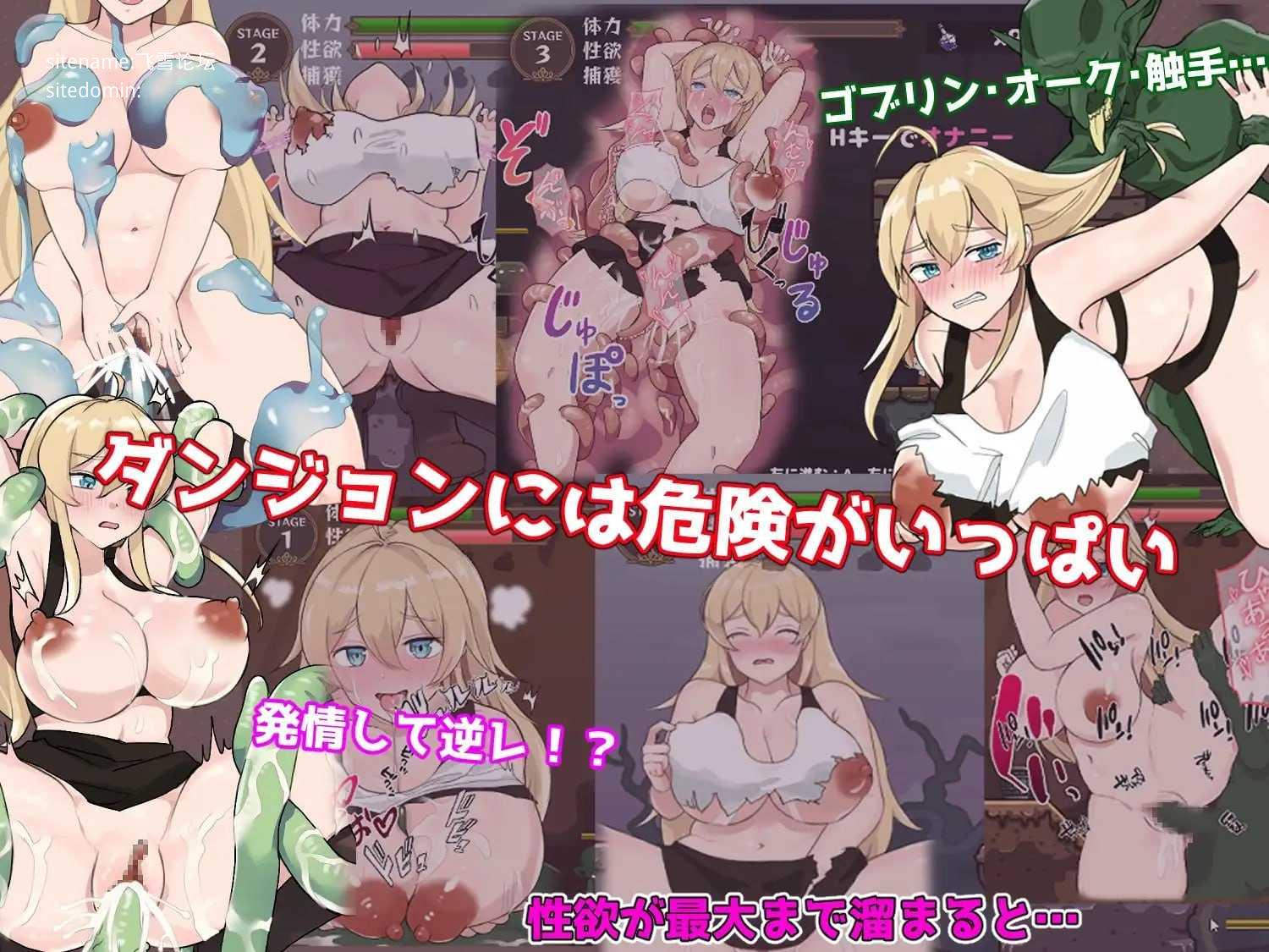 女冒险者的养成术/崖っぷち女冒険者 ドスケベテイムで题材隷を量産したい PC端 官中高清版 预览图